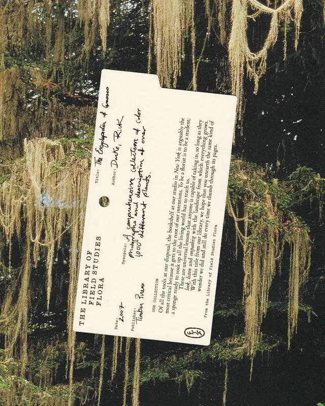 Field Studies Flora printed matter identity (slide 4)