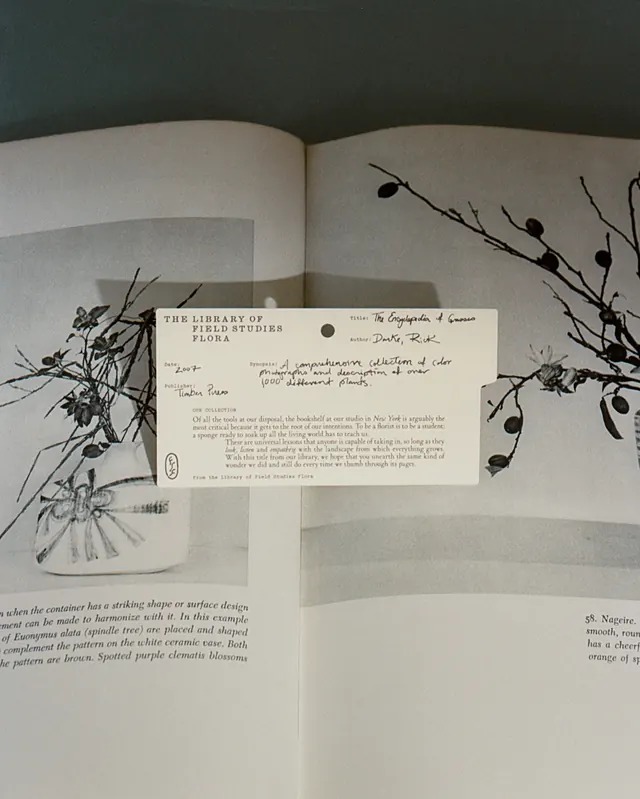 Field Studies Flora printed matter identity (slide 5)