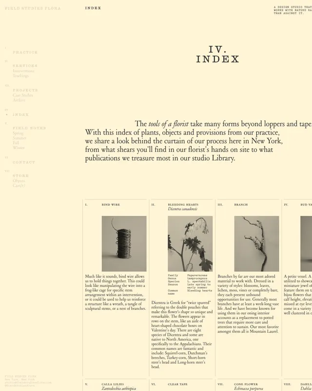 Field Studies Flora printed matter identity (slide 6)