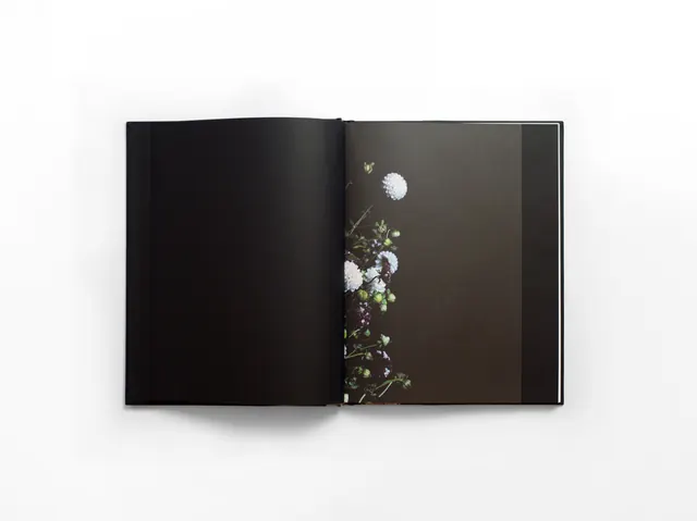 Floral Editorial Spread