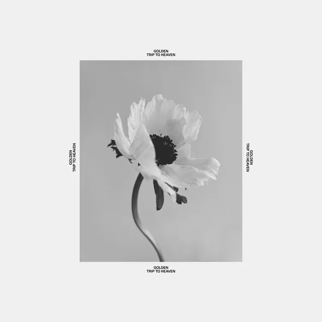 Golden Trip to Heaven floral poster, minimal, editorial, monochrome