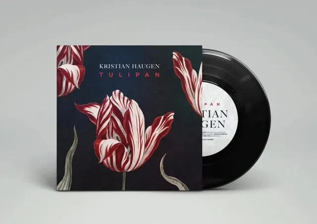 Kristian Haugen Tulipan album cover, illustrated, editorial, dark