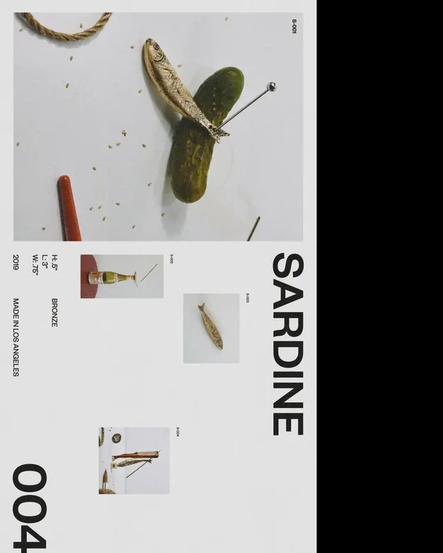 Sardine visual identity system, editorial, minimal, earthy