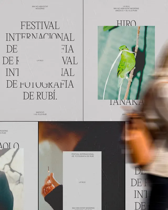 Editorial festival poster with split layout and bird photography, editorial, swiss, light