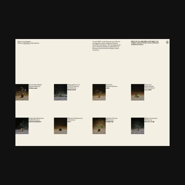Minimalist Grid Layout Design, minimal, swiss, light