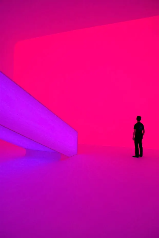 Bold magenta and purple vibrant poster, bold, gradient-heavy, vibrant