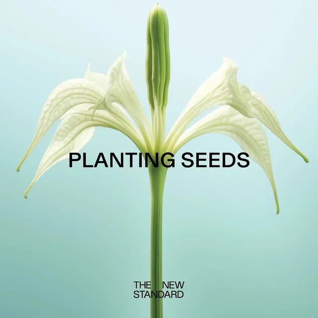 Planting Seeds" poster with lily flower and light typography, minimal, photographic, light