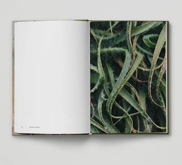 Botanical and typographic print design cover, editorial, illustrated, dark
