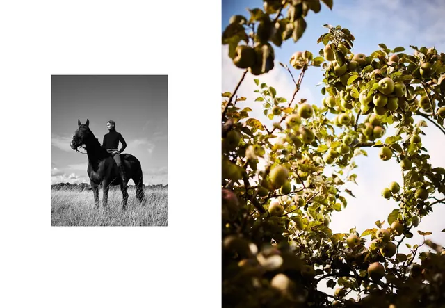 Split diptych portrait and nature composition, photographic, editorial, monochrome