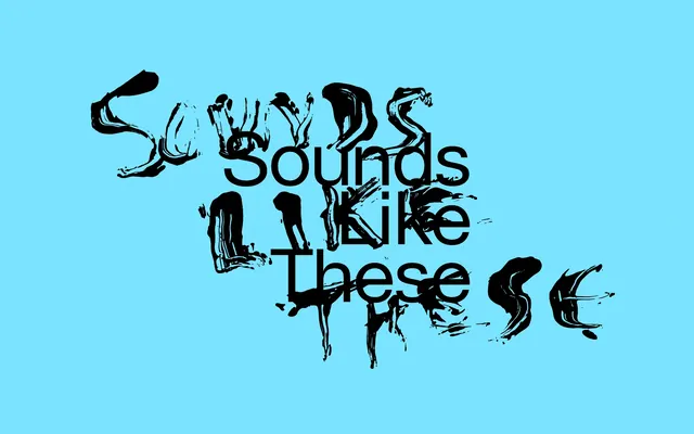 Sounds like These—skateboarding typography poster, illustrated, playful, vibrant
