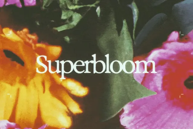 Superbloom floral typography overlay, photographic, overlay, vibrant