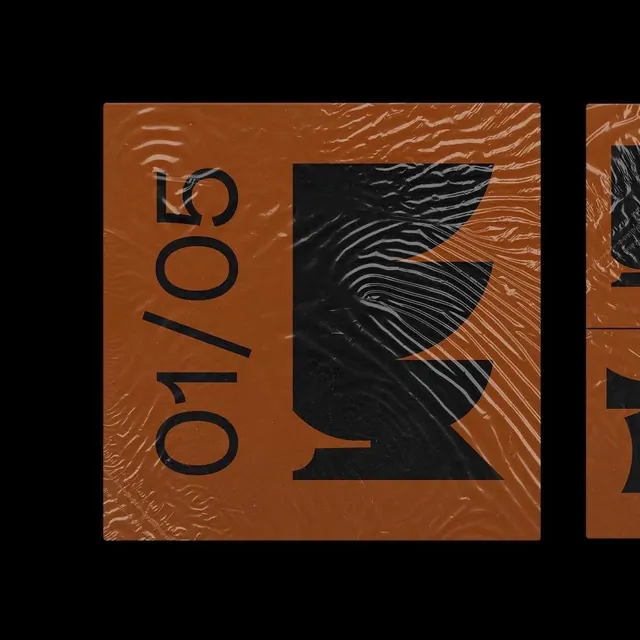Vinyl record packaging design, geometric, brutalist, warm