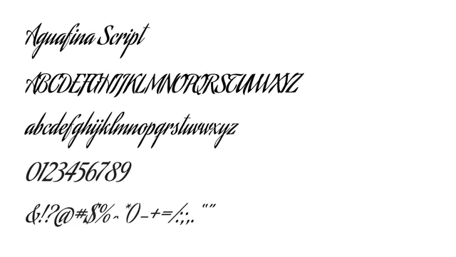 Aguafina Script, elegant, sophisticated