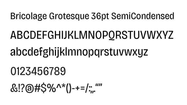 Bricolage Grotesque 36pt SemiCondensed, modern, geometric