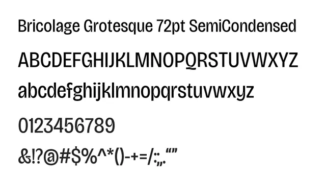 Bricolage Grotesque 72pt SemiCondensed, modern, clean