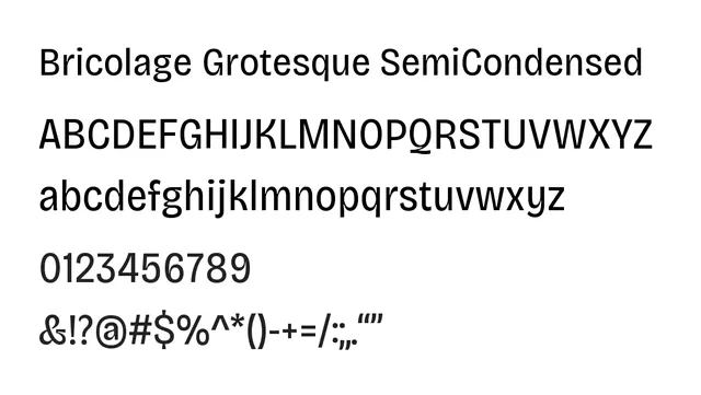 Bricolage Grotesque SemiCondensed, modern, clean
