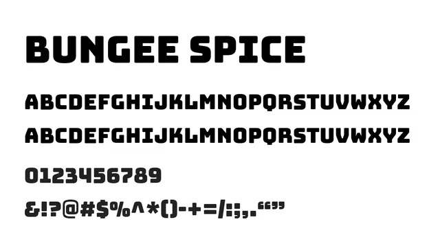 Bungee Spice, bold, geometric