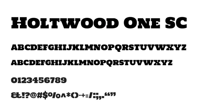 Holtwood One SC, bold, geometric