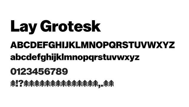 Lay Grotesk, strong, bold