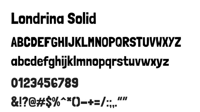 Londrina Solid, playful, friendly