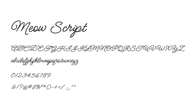 Meow Script, elegant, decorative