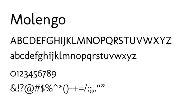 Molengo, clean, modern