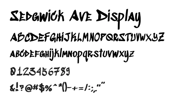 Sedgwick Ave Display, playful, casual