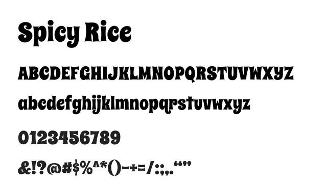 Spicy Rice, bold, playful