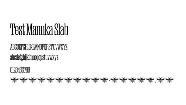 Test Manuka Slab, modern, geometric