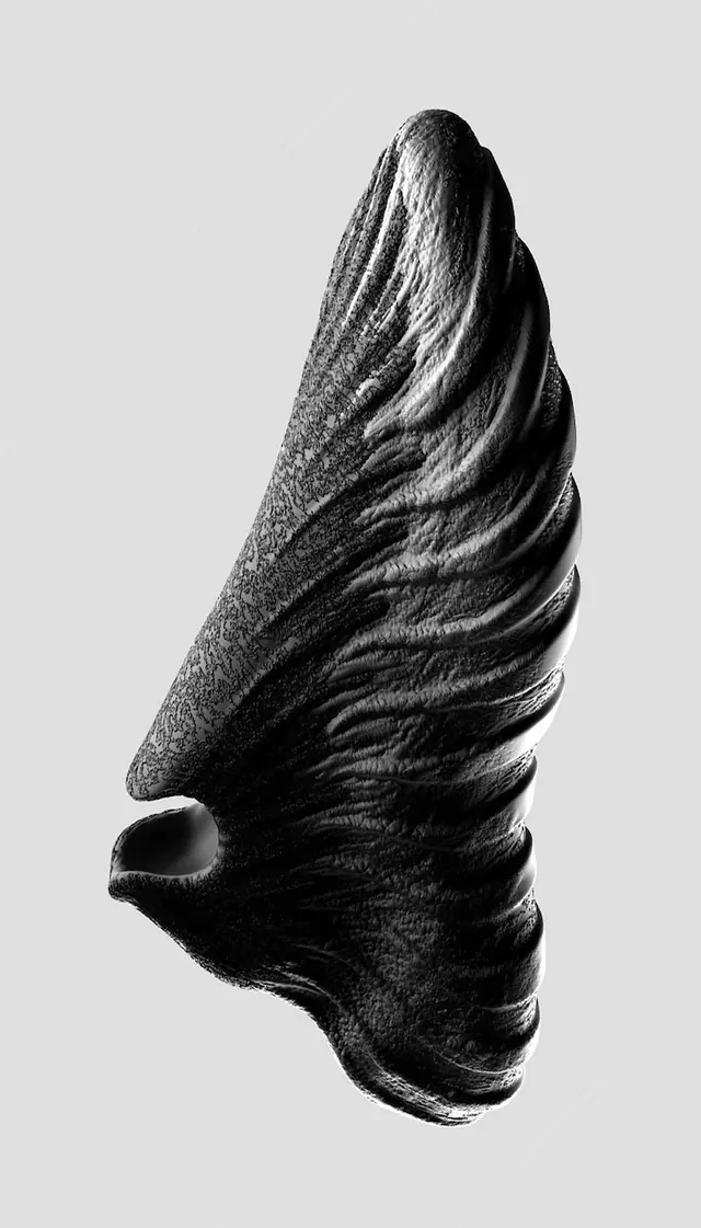 Monochromatic twisted shell sculpture, minimal, monochrome, monochrome