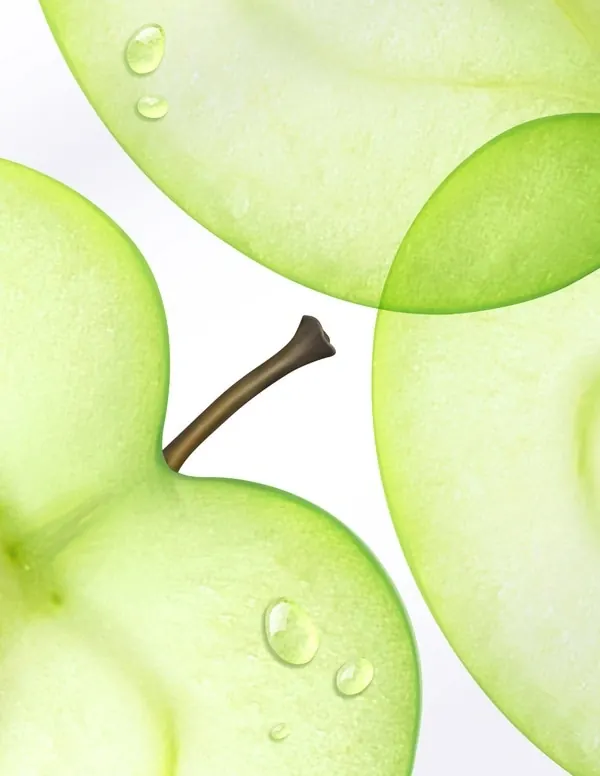 Translucent Green Apple Slices
