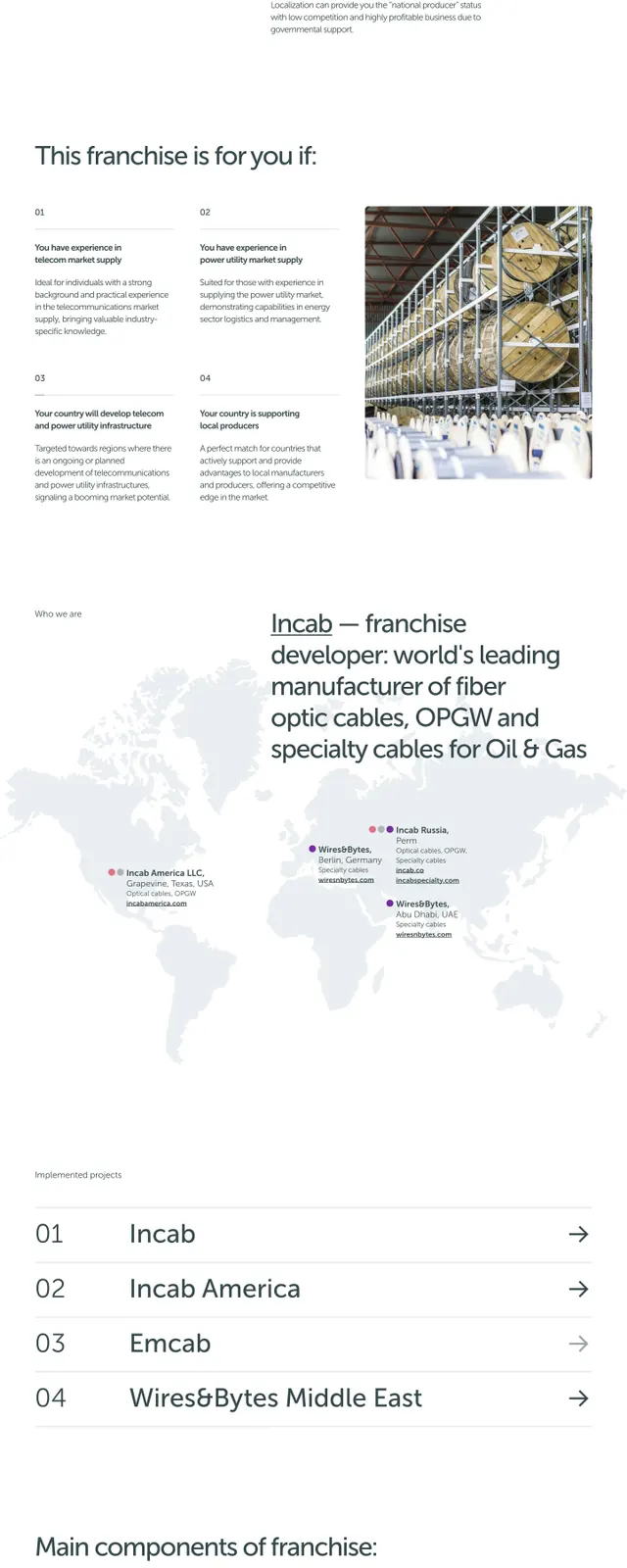 Incab fiber optics franchise marketing site, corporate-clean, technical, light