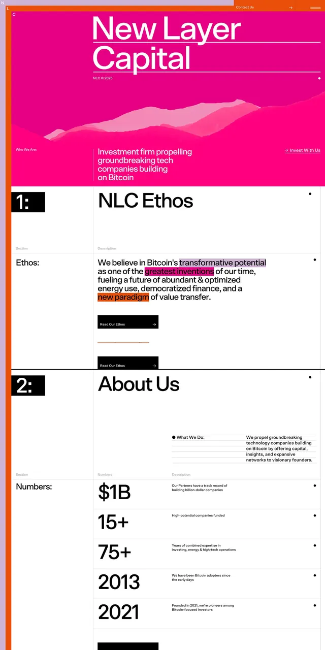 New Layer Capital fintech website spread, corporate-clean, minimal, vibrant