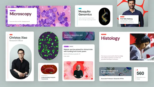 Biotech research portfolio grid, minimal, photographic, cool