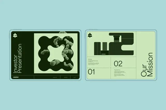 Calaclan biotech two-card investor presentation, minimal, geometric, pastel