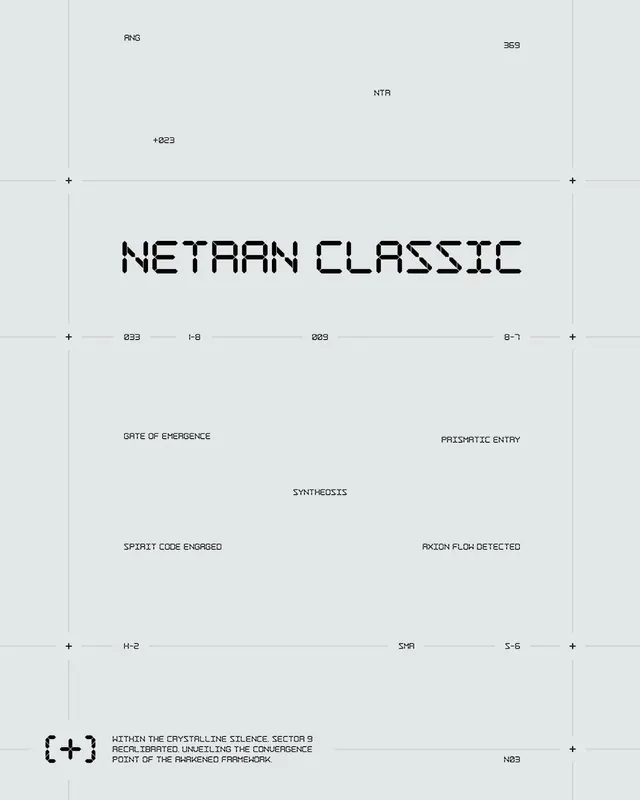 Netran Classic retro-technical grid schematic, technical, brutalist, light