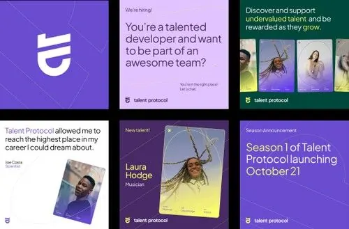 Talent Protocol card grid in purple gradient, minimal, corporate-clean, light