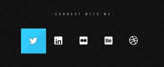 Social Media Connection Bar, minimal, light-mode, high-contrast