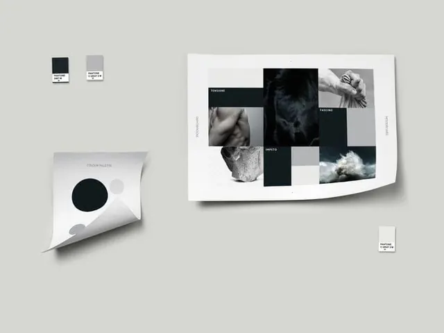 Minimalist Brand Identity Presentation, minimal, swiss, monochrome