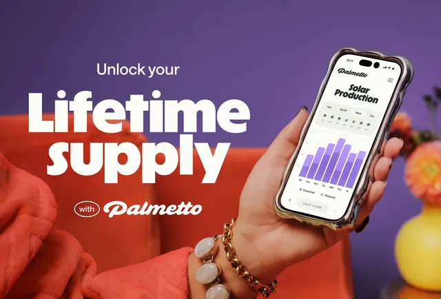 Palmetto solar app promotional composition, gradient-heavy, playful, warm