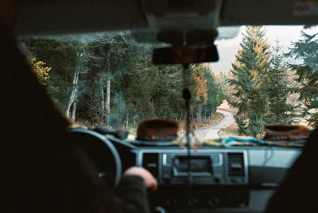 Interior Car View of Forest Road, photographic, dark