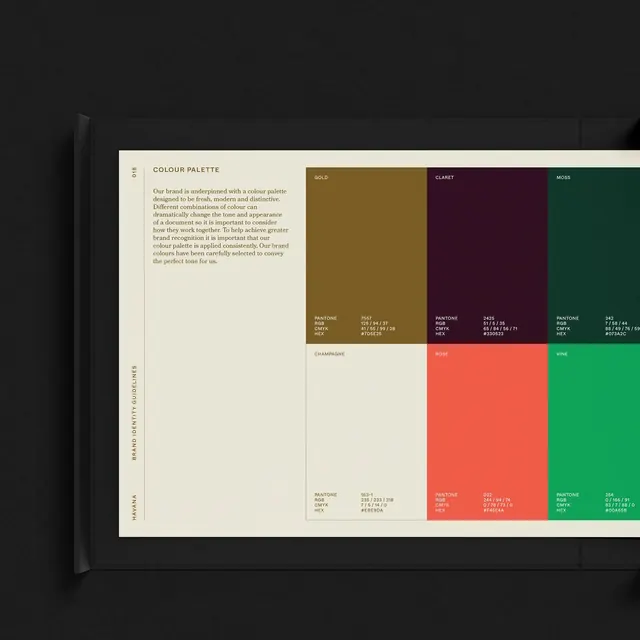 Brand color palette system with Pantone references, minimal, corporate-clean, warm
