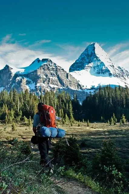 Mountain Landscape with Hiker, photographic, high-contrast