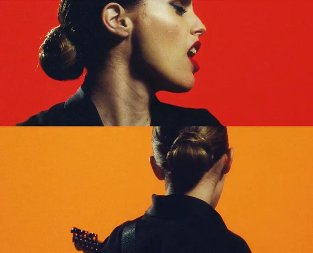 Split-Tone Portrait Composition, maximalist, vibrant