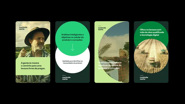 Four-card organic identity grid, minimal, organic, dark