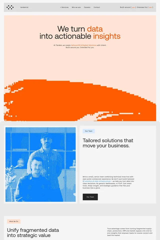 Tandem.bi data-analytics hero and team section, corporate-clean, minimal, light