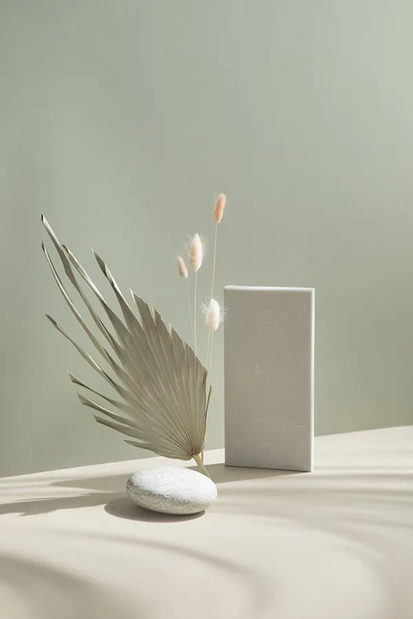 Minimal organic photograph, minimal, organic, light
