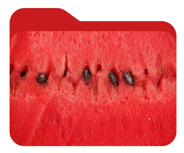 Watermelon macro texture in rounded rectangle frame, organic, photographic, dark