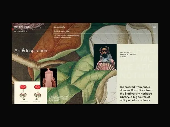 Art & Inspiration webpage with natural history collage, organic, editorial, earthy