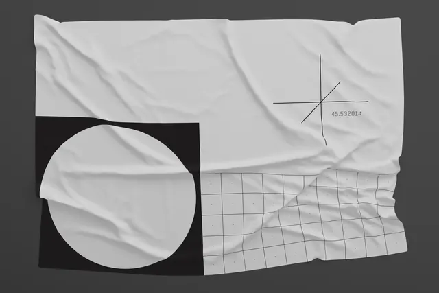 Wrinkled Paper Texture Identity, minimal, brutalist, monochrome
